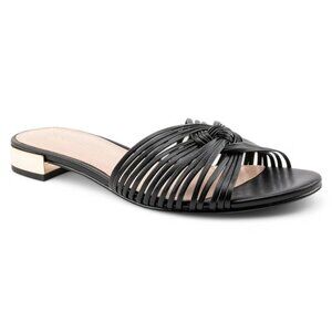 Women's Dashaa Slide Sandal - Black
